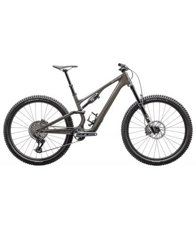 2025 Specialized Stumpjumper 15 Expert Mountain 
