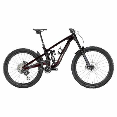 2025 Trek Slash 9.9 XX AXS T-Type Gen 6 Mountain