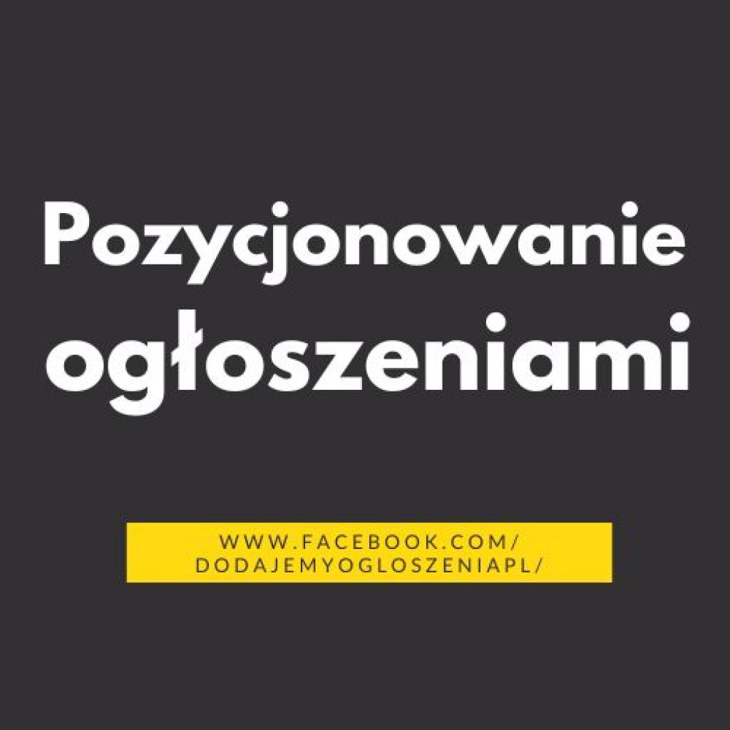 Pozycjonowanie ogłoszeniami