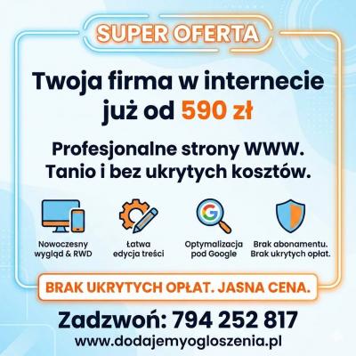 Strona internetowa już od 590 zł  