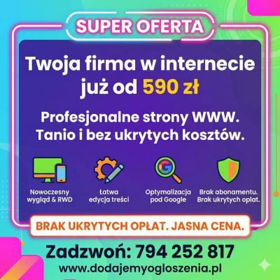 Strona internetowa już od 590 zł  